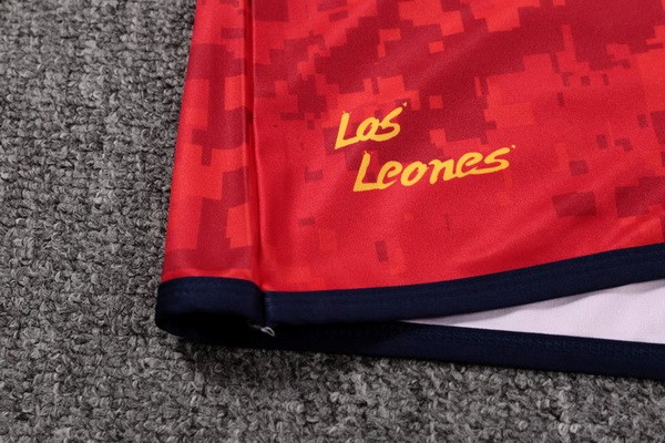 Cadre UNION BEGLE BORDEAUX Rugby UBB Partenaire saison 2017 2018 - Collection